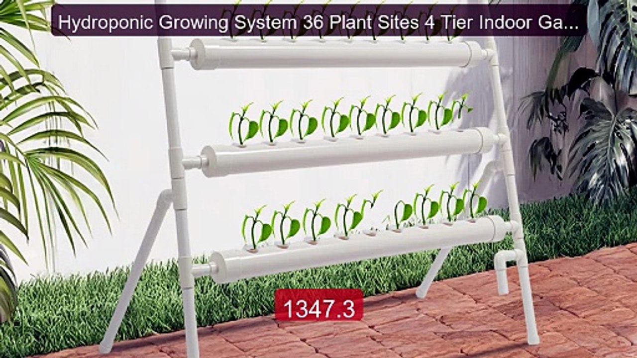 Hydroponic Growing System 36 Plant Sites 4 Tier Indoor Garden ... -- Best Buy 2026 | Great Quality!