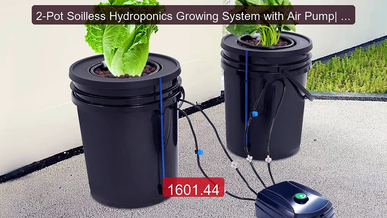 2-Pot Soilless Hydroponics Growing System with Air Pump| 2X5ga... -- Best Buy 2026 | Great Quality!