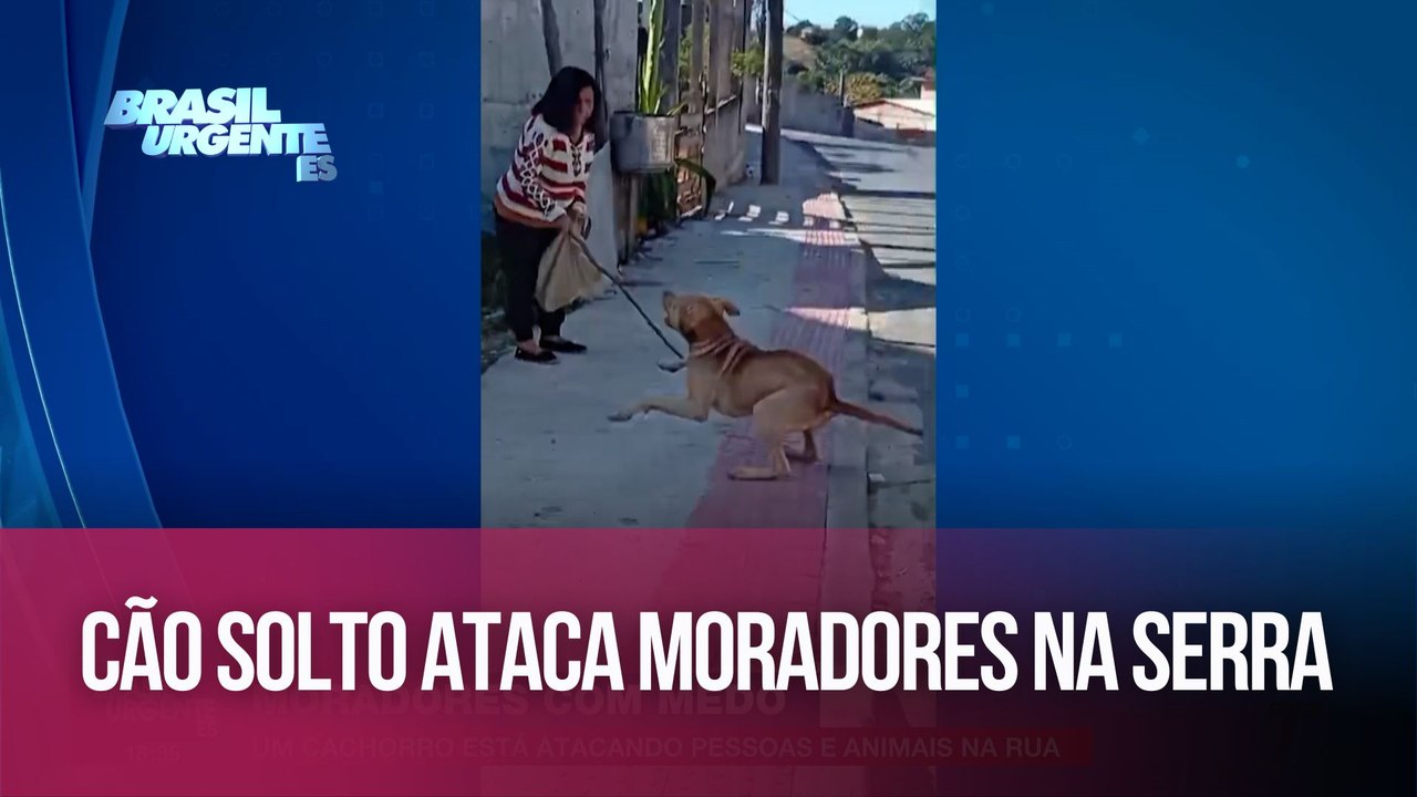 Cão solto ataca moradores na Serra