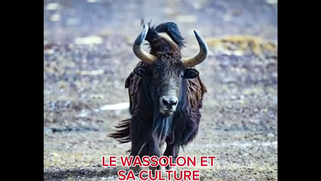 Wassolon et sa culture