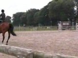 Saut Haras de Jardy