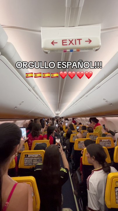 Así se enteraron los pasajeros de un avión que España había gando el Mundial