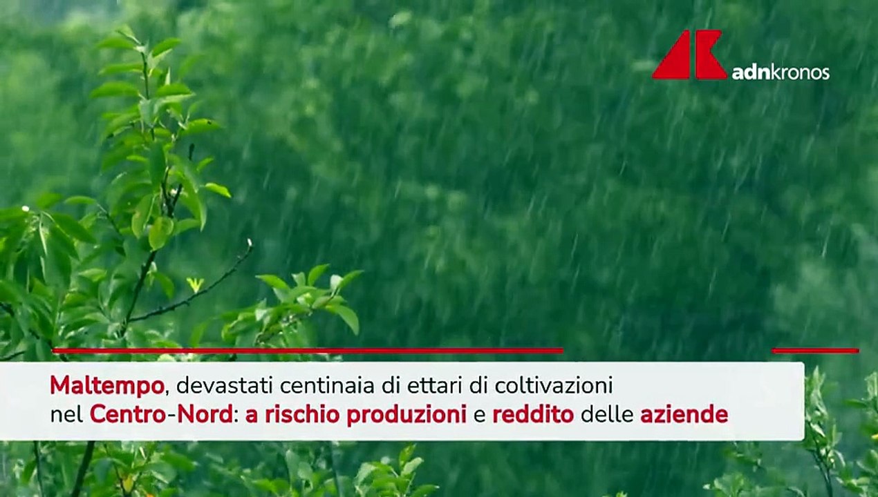 Maltempo devasta ettari di coltivazioni nel Centro-Nord
