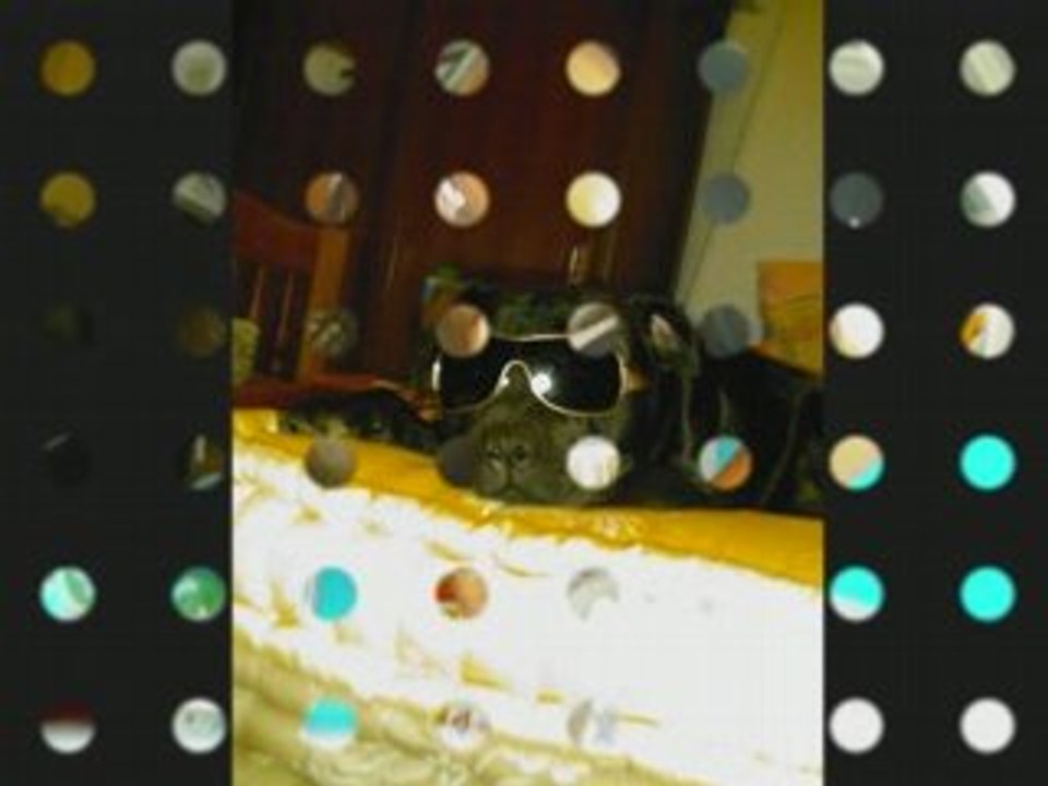 Foto normandie 2007