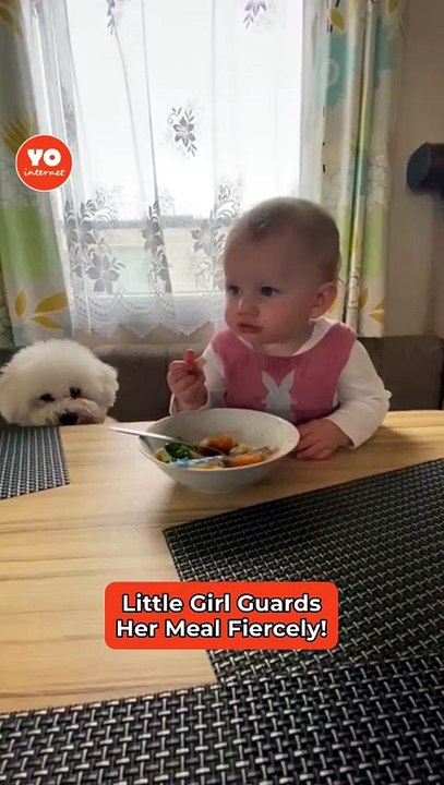 Young girl fiercely defends her meal from playful pup