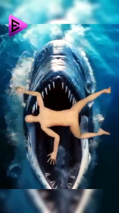 البلاديوم | هل يمكنك النجاة إذا ابتلعك الحوت !؟ 🤔😱 #elpladum #اكسبلور #بحر #shark #معلومات #facts