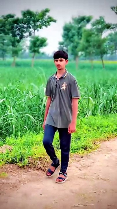Short purely secene with lovely song
