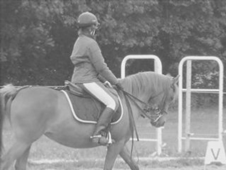 Mon Passage De Galop Avec Ma Chérie ..