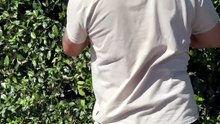 Il découvre un trou géant sous son jardin… puis décide d’y descendre
