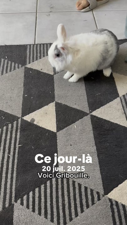 Ce jour là ..