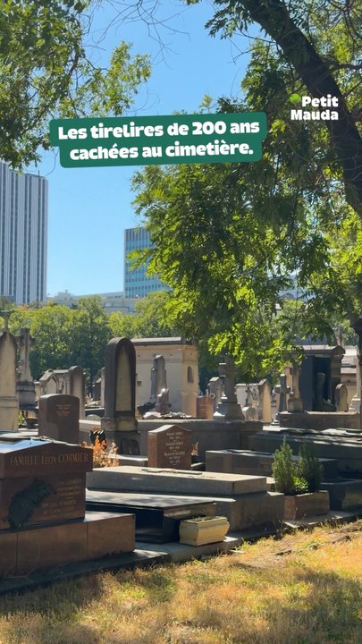 🚨 Le secret le plus émouvant de Montparnasse…