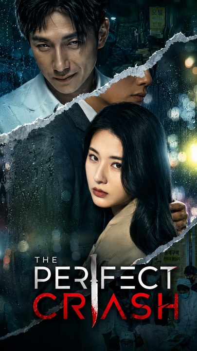 The Perfect Crash Complete Drama Series ENGSUB AFR