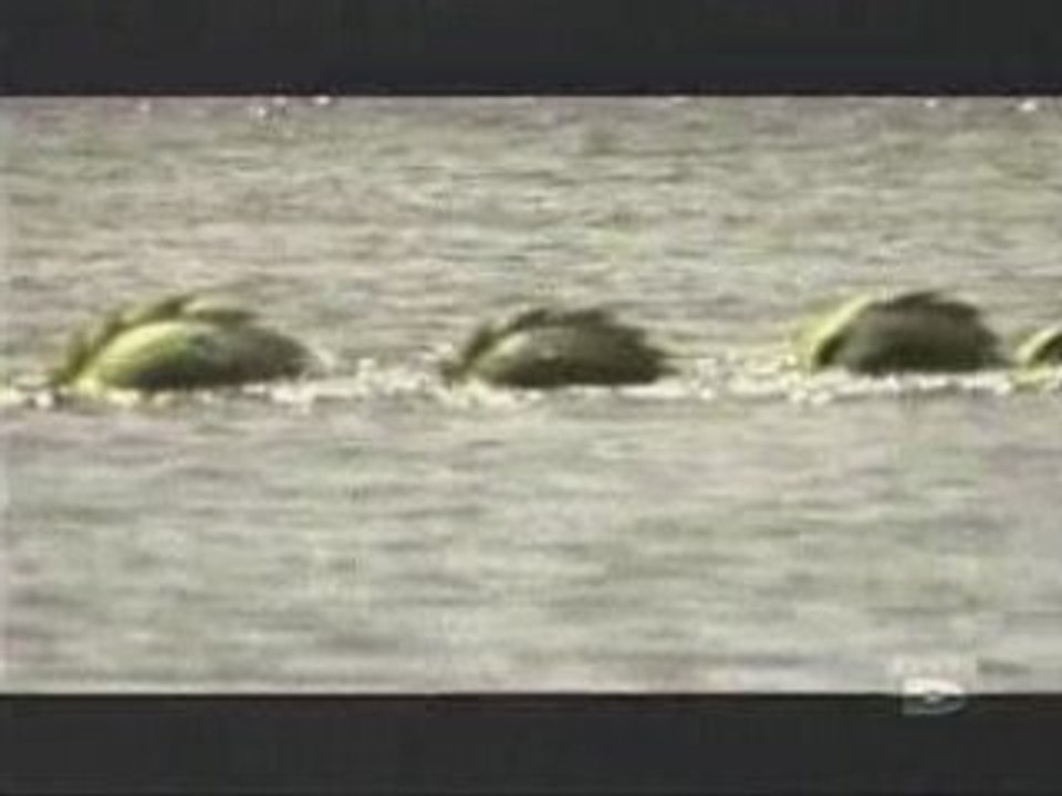 Monstres Marins ou Lacustres - 2 de 3