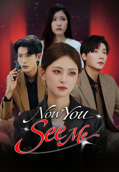 Now You See Me Series English