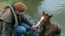 SHE HEARD HIM CRYING FROM ACROSS THE FIELD… 🐴💔