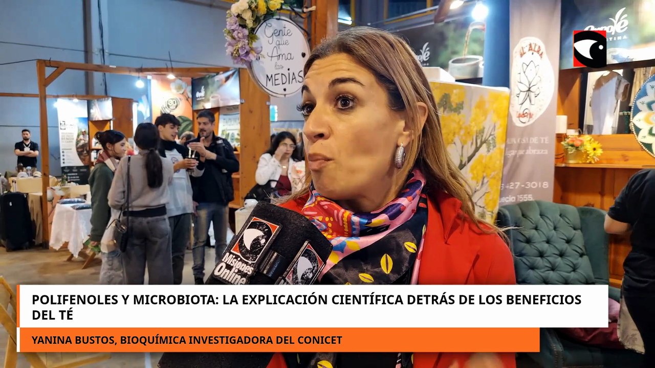 POLIFENOLES Y MICROBIOTA LA EXPLICACIÓN CIENTÍFICA DETRÁS DE LOS BENEFICIOS DEL TÉ