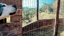 É alma, fogo e verdade em cada frame
