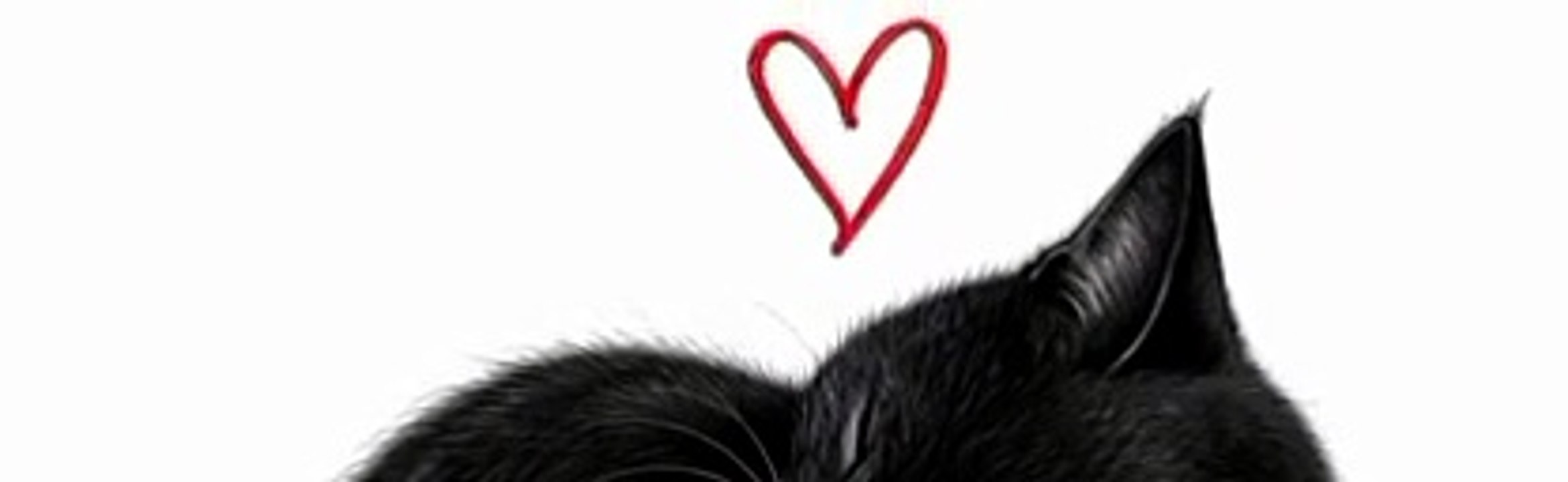catsgif 1 (up)