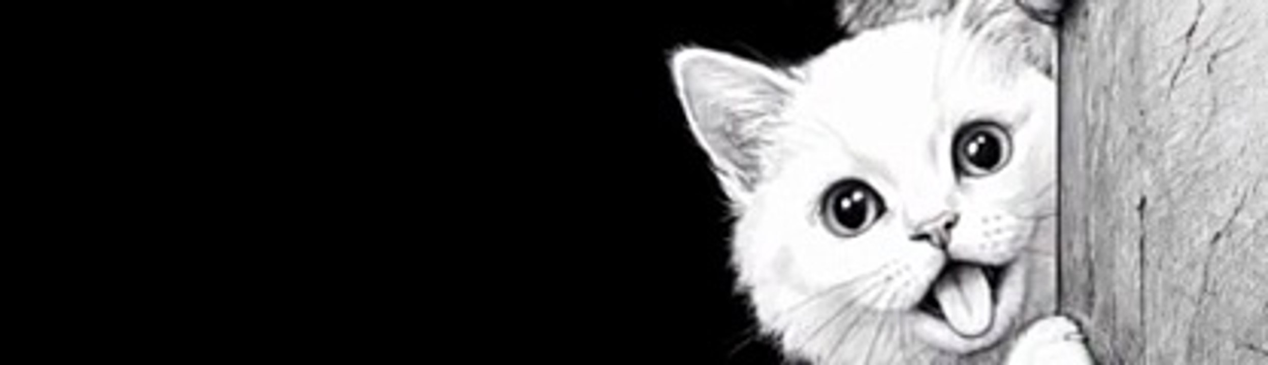 catsgif 2 (down)