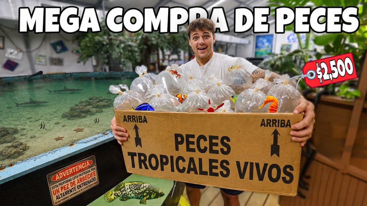 Comprando nuevos peces para mis acuarios de agu...