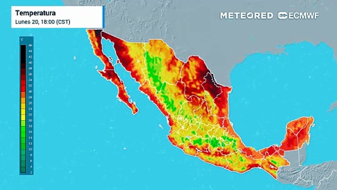 Pronóstico agrometeorológico del 20 al 26 de julio para México: la Canícula reduce lluvias y eleva los costos del campo