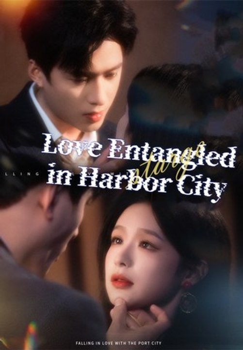 Love Entangled in Harbor City Series English