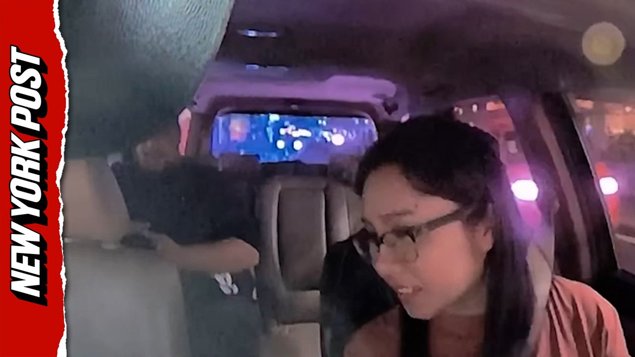Dashcam captures tourist's shocking proposition...