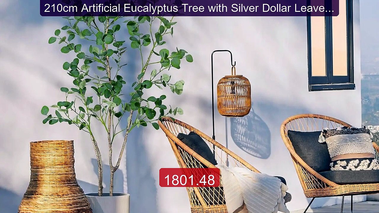 210cm Artificial Eucalyptus Tree with Silver Dollar Leaves ... -- Top Pick 2026 | Unbeatable Price!