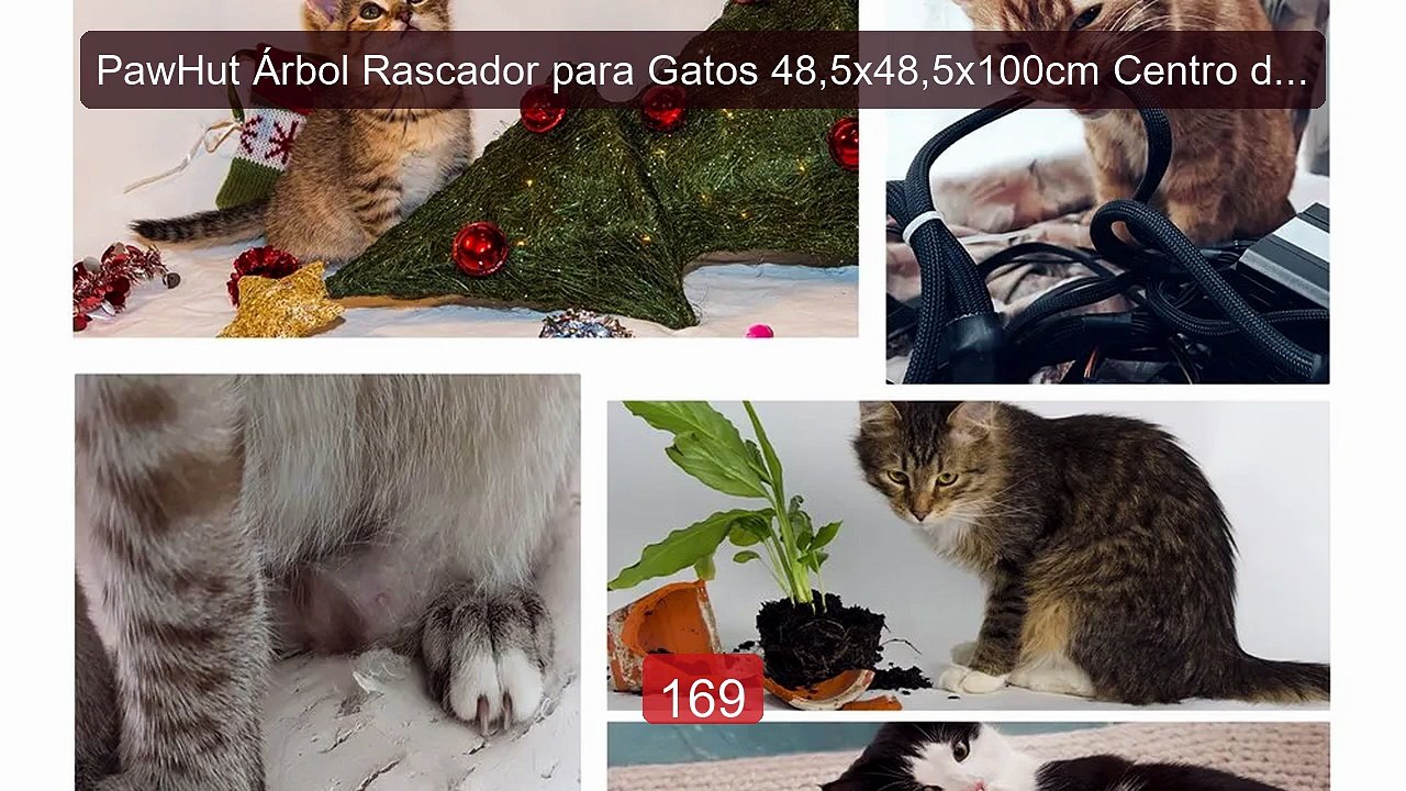 PawHut Árbol Rascador para Gatos 48,5x48,5x100cm Centro de Act... -- Best Buy 2026 | Great Quality!