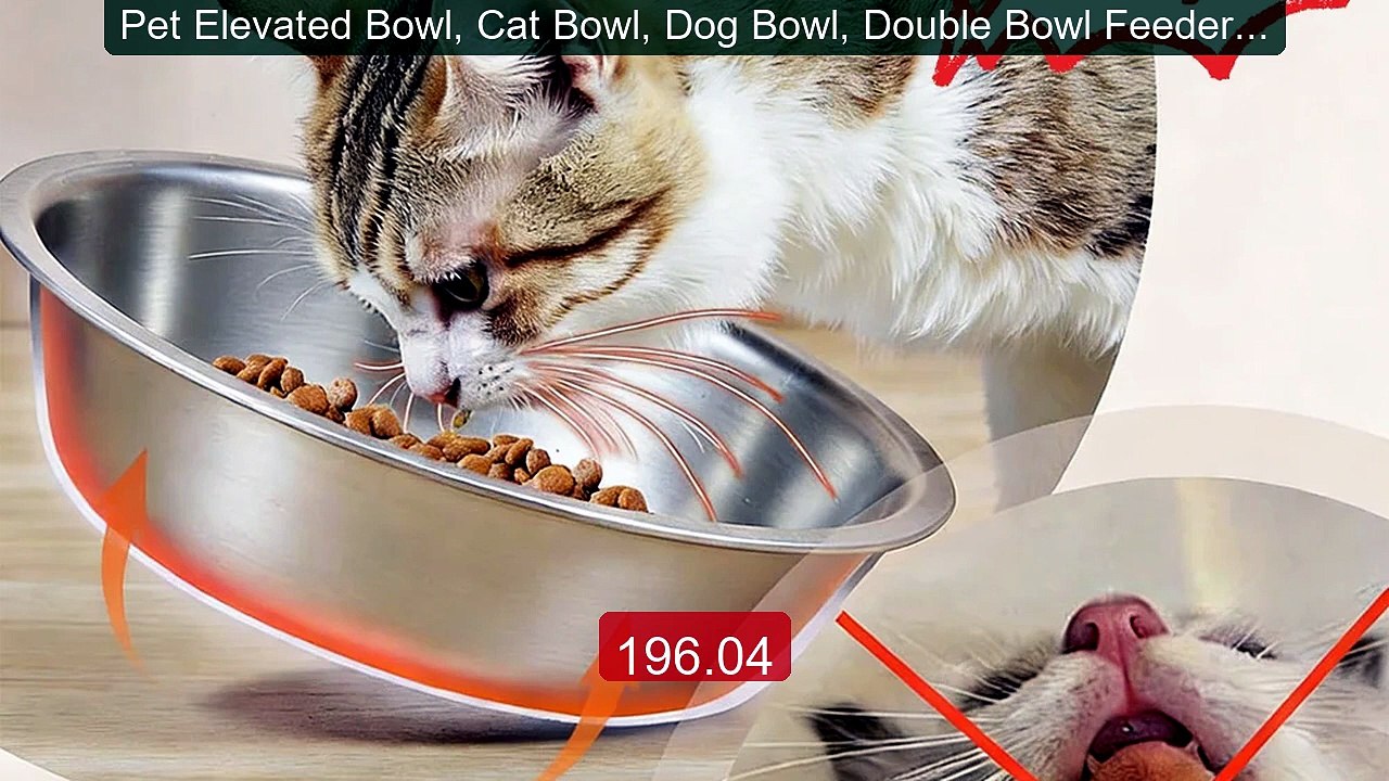 Pet Elevated Bowl, Cat Bowl, Dog Bowl, Double Bowl Feeder, 15-Degre... -- Top Rated 2026 | Buy Now!