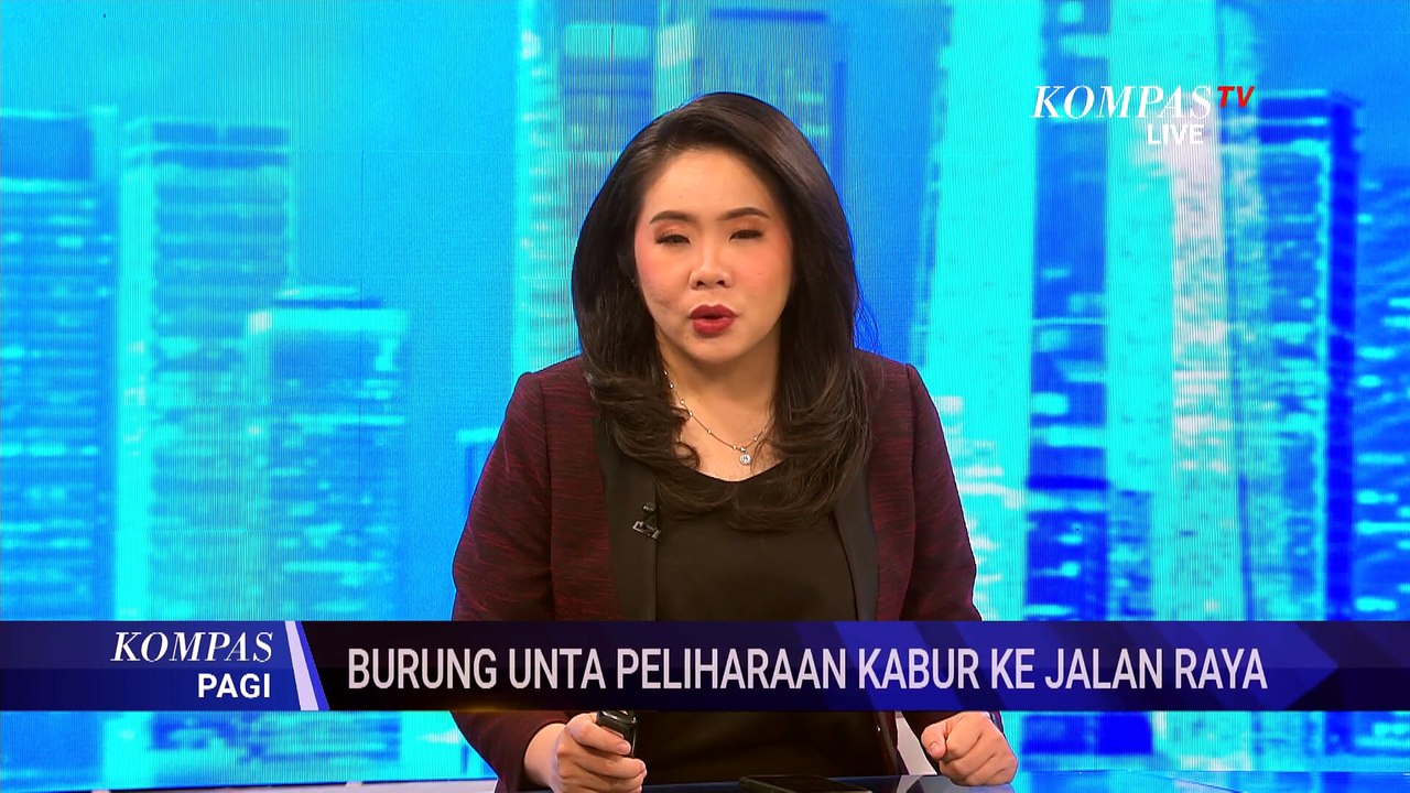 Diduga Panik karena Sirene, Burung Unta Lepas dan Berlari di Jalan Raya Bandung | KOMPAS PAGI