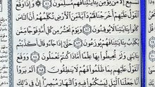 صفحة (384)