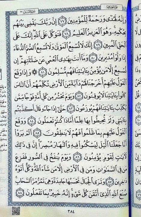 صفحة (384)