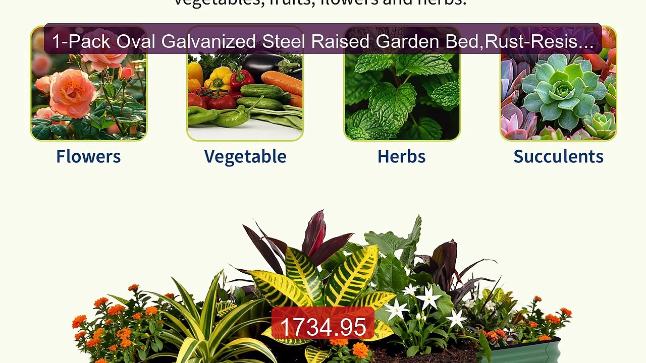 1-Pack Oval Galvanized Steel Raised Garden Bed,Rust-Resistant,... -- Best Buy 2026 | Great Quality!