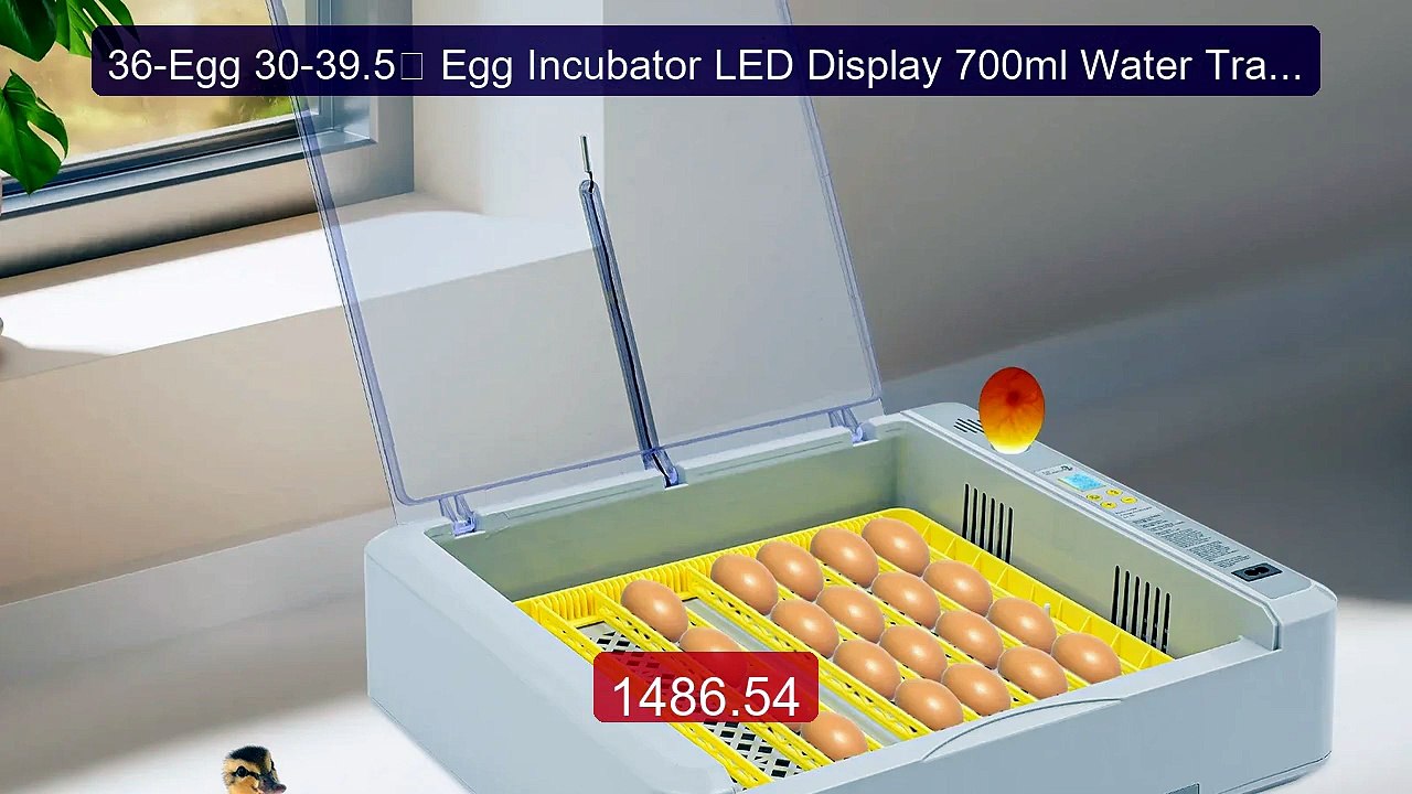 36-Egg 30-39.5℃ Egg Incubator LED Display 700ml Water Tray ABS Incu... -- Top Rated 2026 | Buy Now!