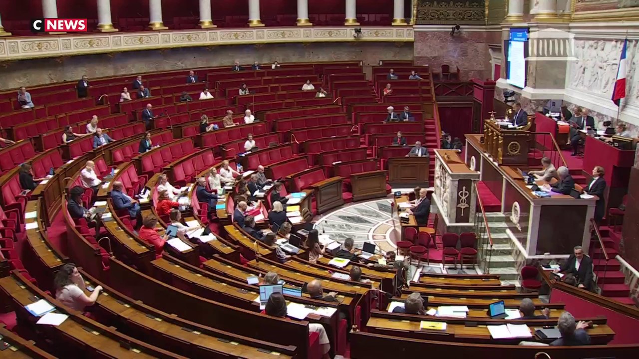 Viols en série sur mineur : LFI et Ecologistes contre la perpétuité