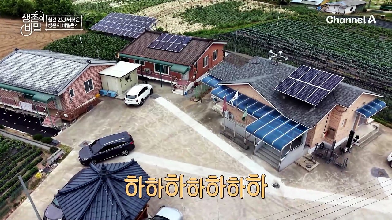 커피 말고 '복분자'를 택했다? 피떡 관리의 핵심 음료 복문자 분말수