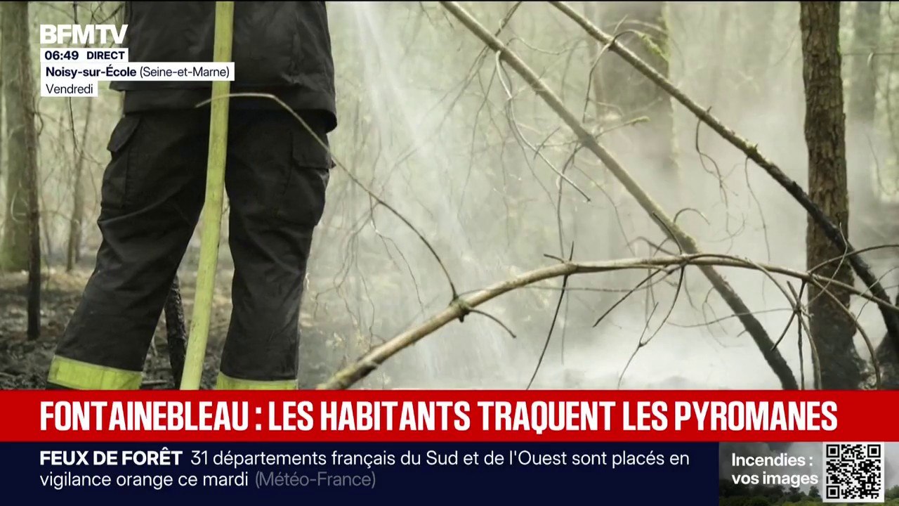 À Fontainebleau, des patrouilles d'habitants traquent les pyromanes