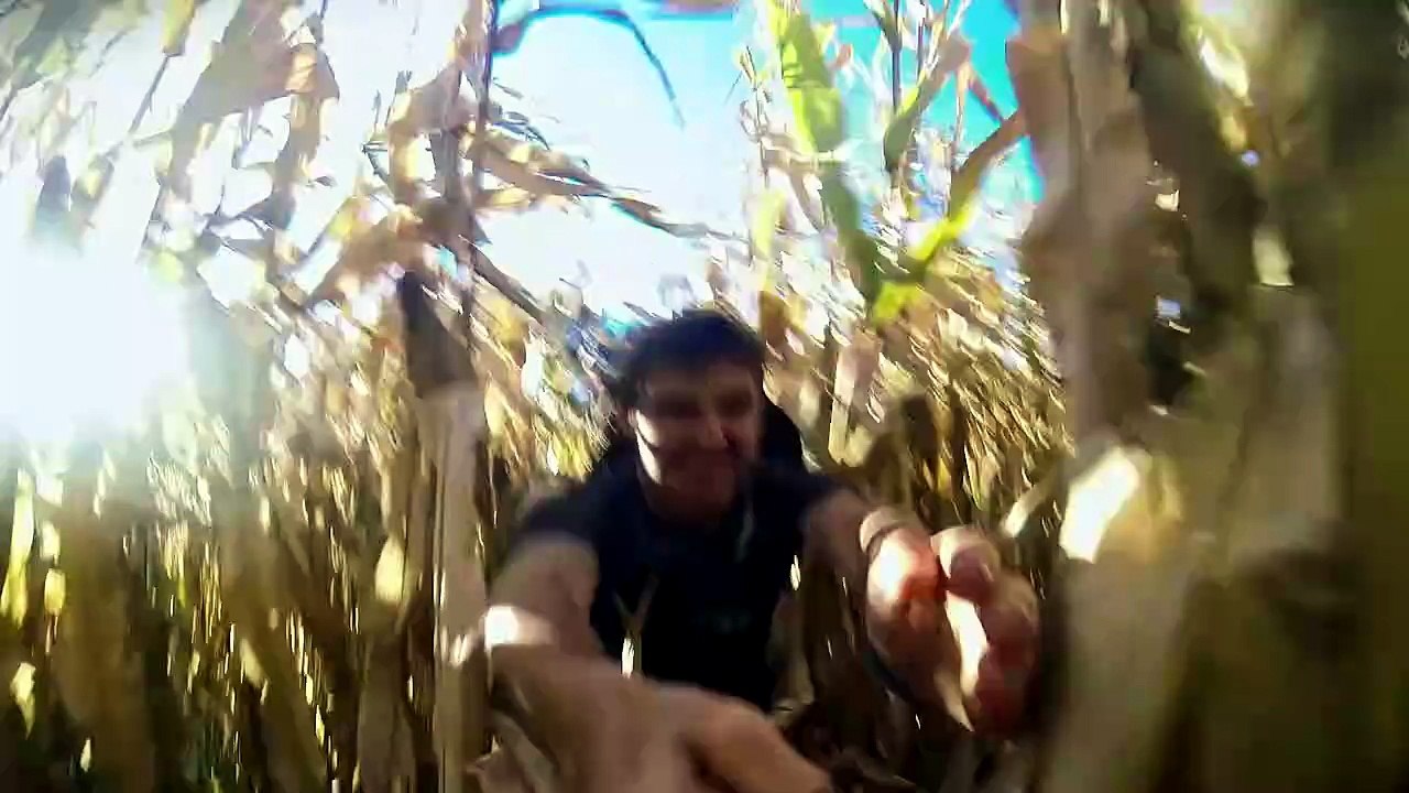 Wild Boy