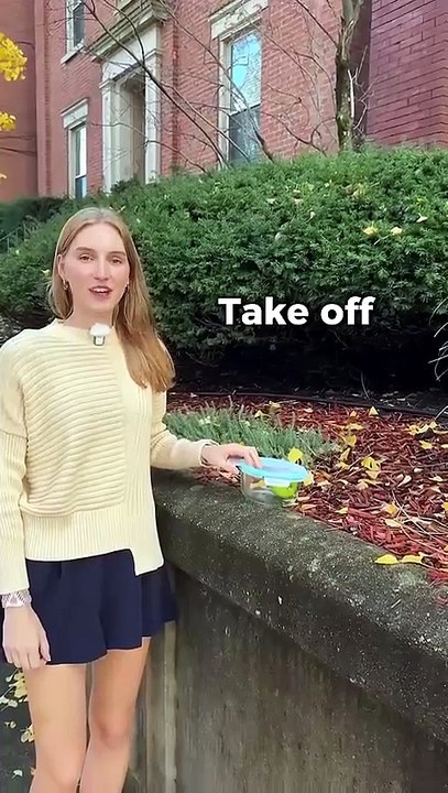 Phrasal_verbs_in_English_#gringa_#english_#ariannitalagringa_#american(480p)