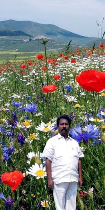 Aadhi Bijaye Kale