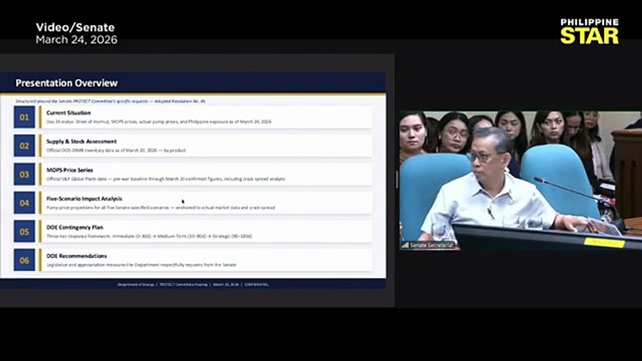 Loren Legarda, nainis dahil absent ang Energy Secretary sa Senado [Full Movie]