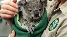 A Heartwarming Bond Between Humans and Nature You Have to See