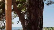 Prezentacja hotelu White Rocks na Kefalonii