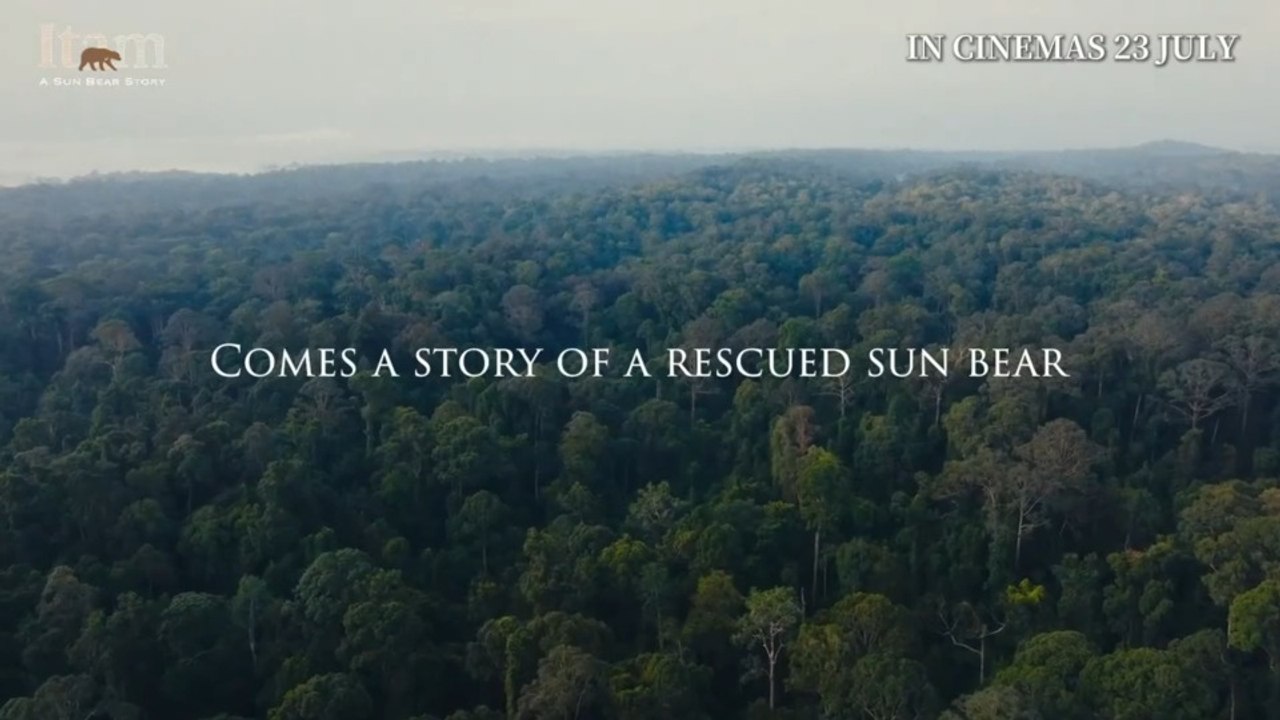 Itam: A Sun Bear Story | Trailer 1