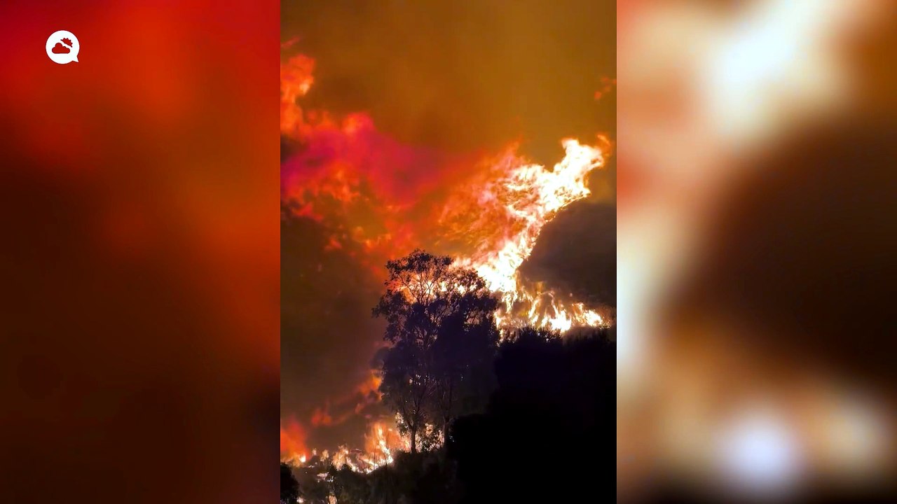 Devastating wildfires rage across Sicily, Italy