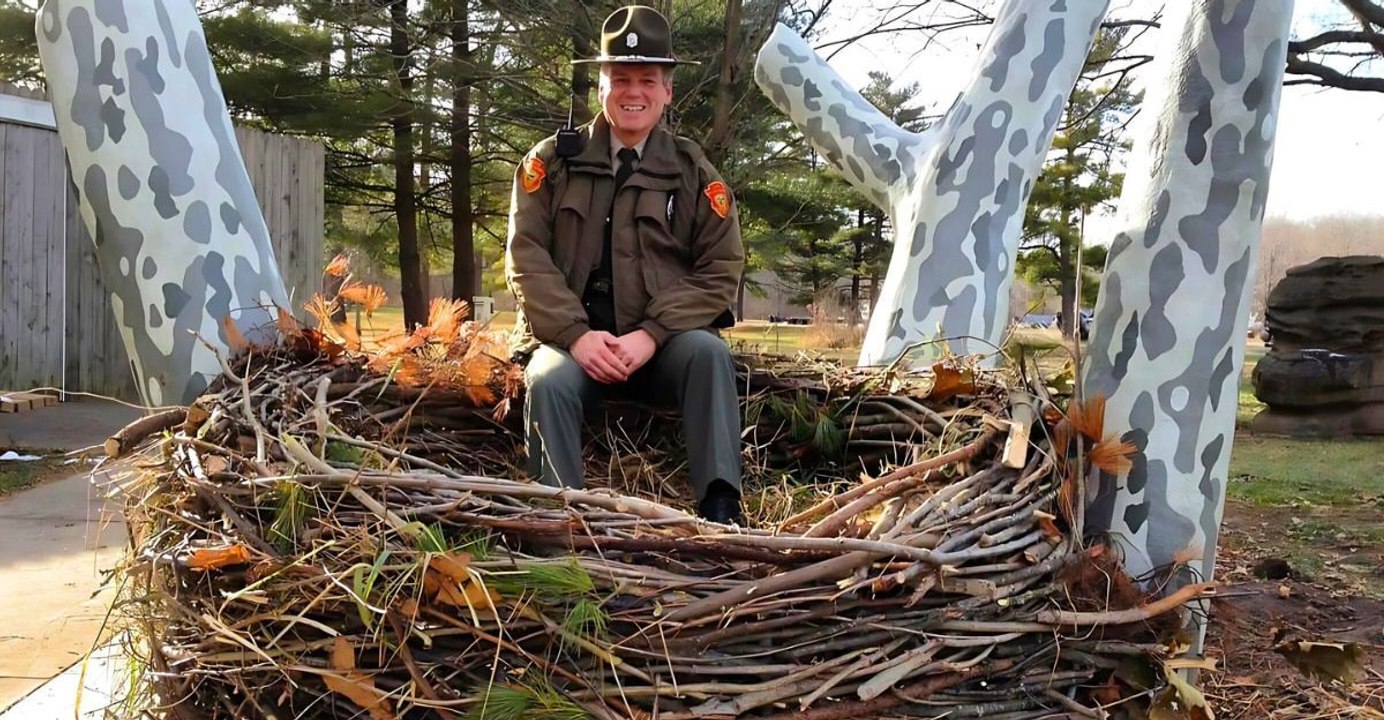 Inside the 11 enormous nests that defy nature's limits