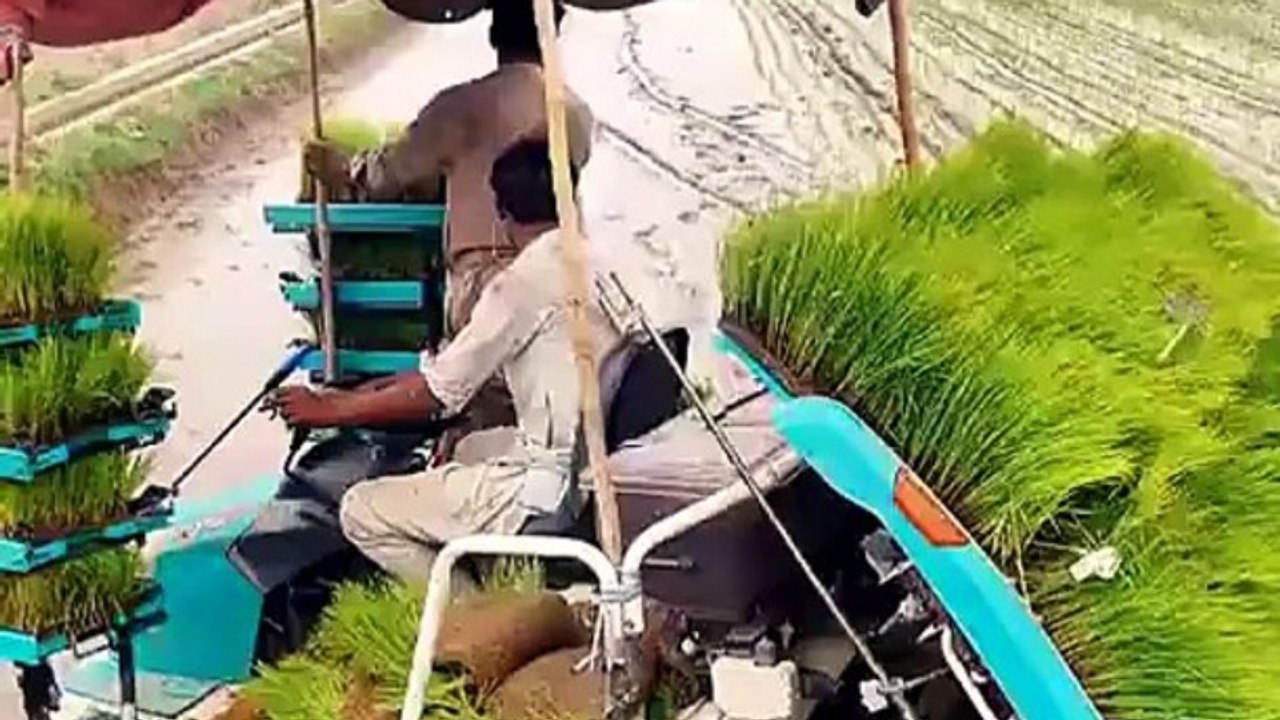Rice Transplanting Machine in Pakistan Fast & Smart Paddy Plantation