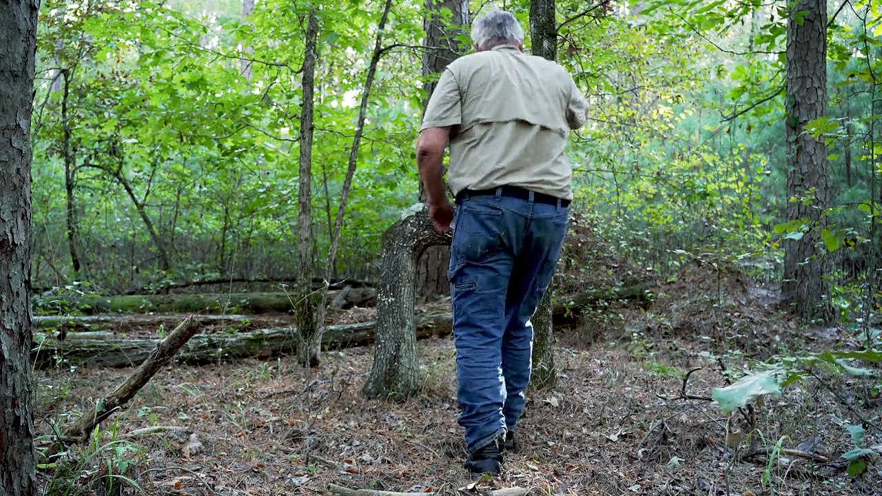 The Bigfoot Prophecy 2024