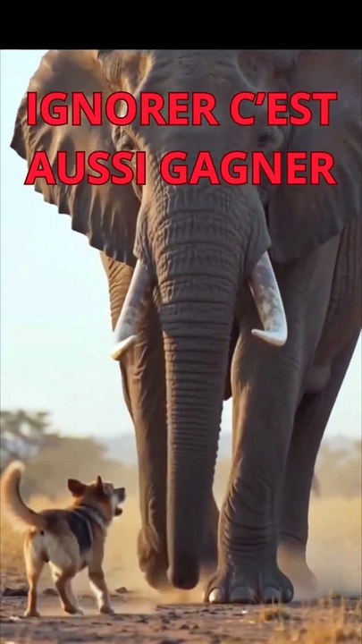 CONTE AFRICAIN : IGNORER C'EST AUSSI GAGNER